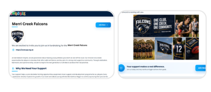 Preview of a published fundraiser marketing page