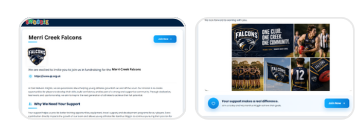 Fundraiser marketing page preview with campaign content